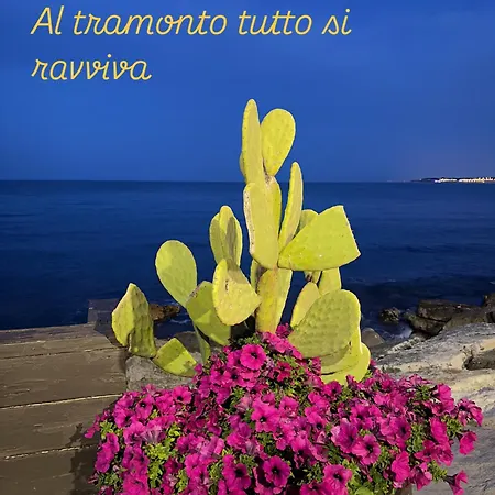 Vischi Roof Con Terrazzo E Vista Apartment